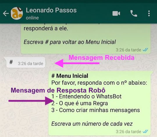 robo whatsapp